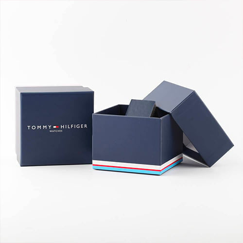 Montre Tommy Hilfiger Gavin 1791471