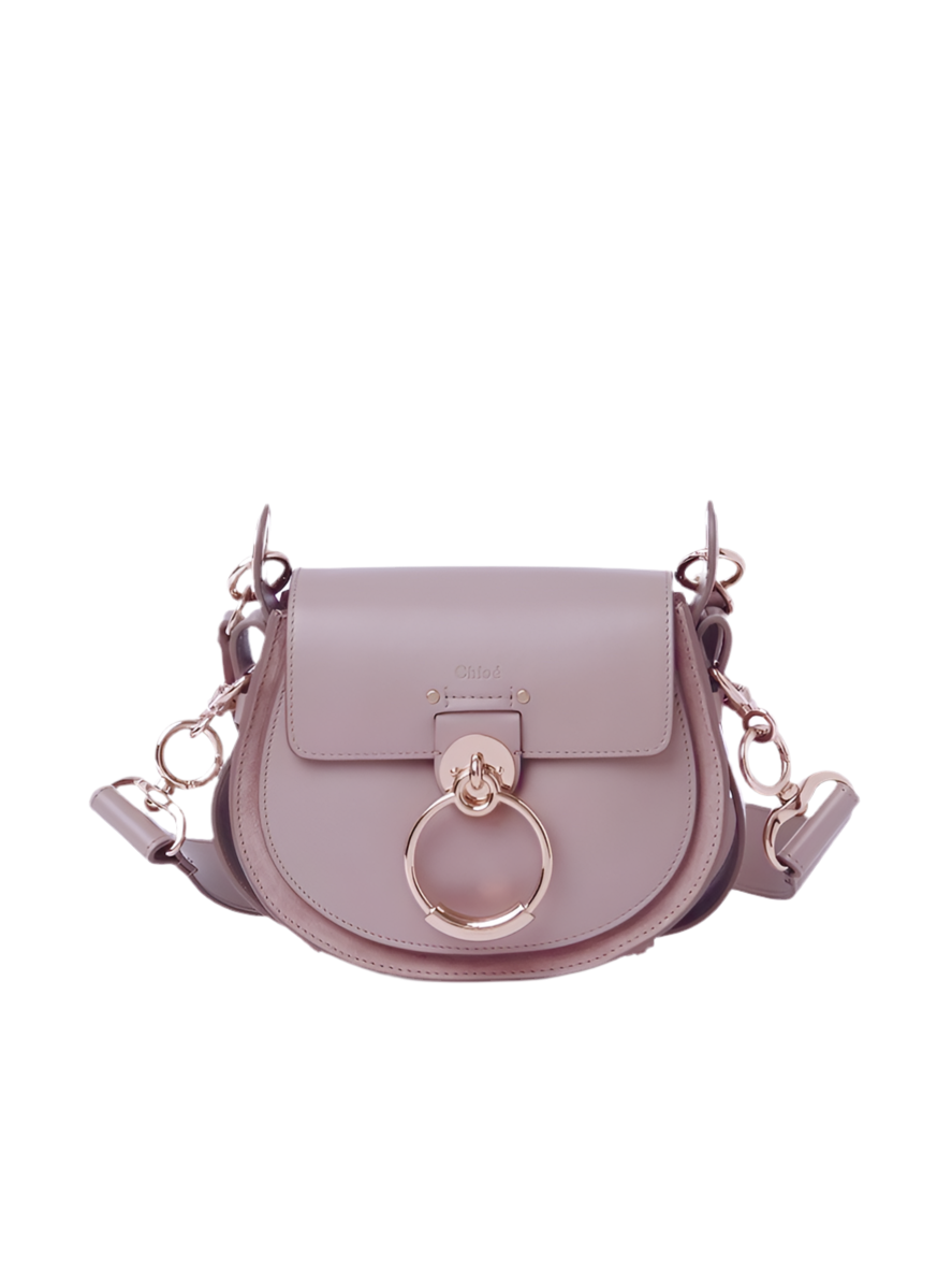 PETIT SAC TESS EN CUIR LISSE ET CUIR VELOURS