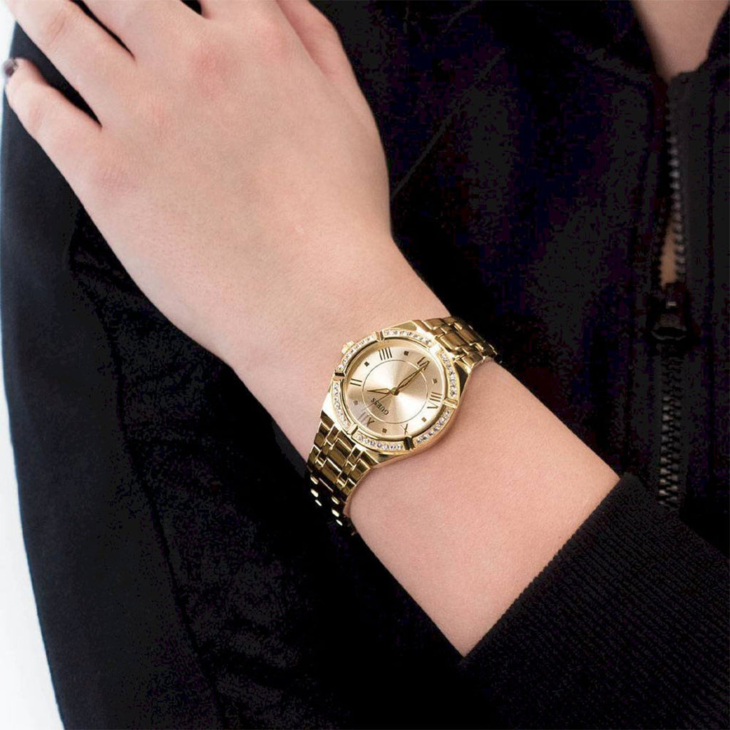 Montre Femme Guess Gw0033l2